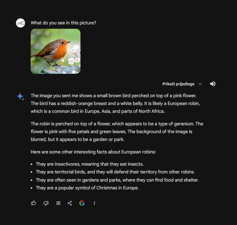 What do you see in this picture? Gemini: The image you sent me shows a small brown bird perched on top of a pink flower. The bird has a reddish-orange breast and a white belly. It is likely a European robin, which is common bird in Europe, Asia and parts of North Africa. In the image, the robin is perched on the edge of the flower's petals. It appears to be looking to the right of the frame. The flower is in full bloom, with its petals fully open. The background of the image is blurred, so it is difficult to make out any other details. He also wrote some interesting facts about this bird.